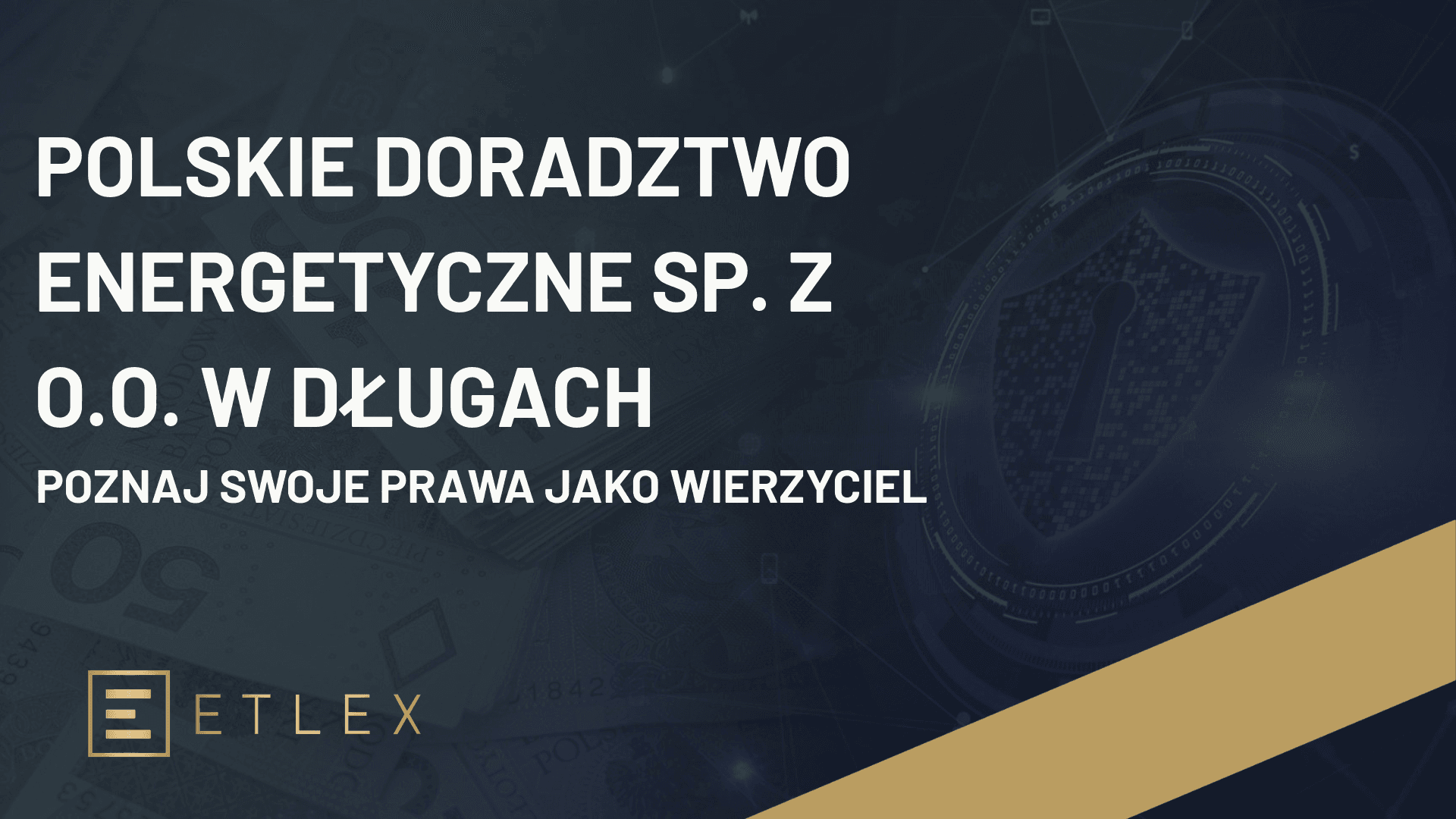 POLSKIE DORADZTWO ENERGETYCZNE SP. Z O.O. w długach