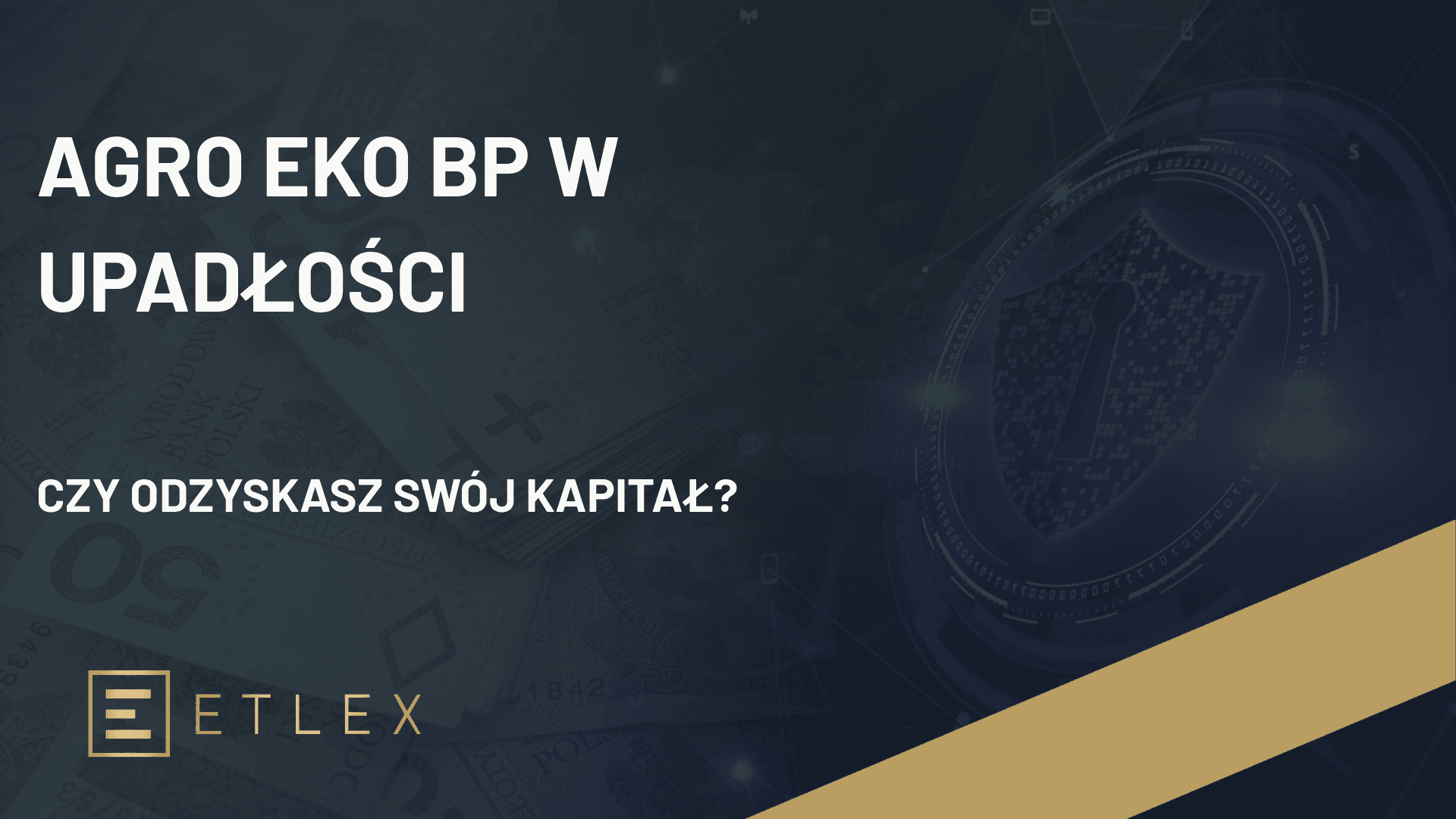 Agro Eko BP w upadłości