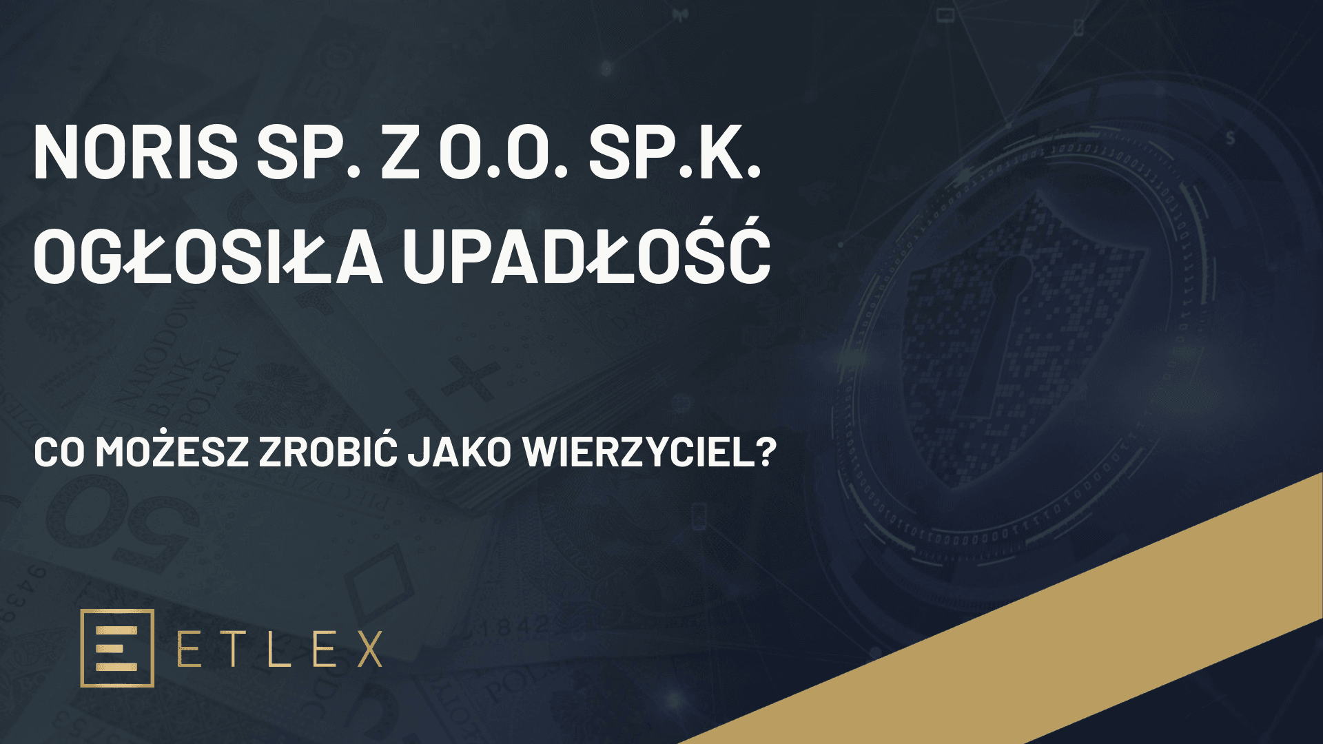 NORIS SP. Z O.O. SP.K. ogłosiła upadłość