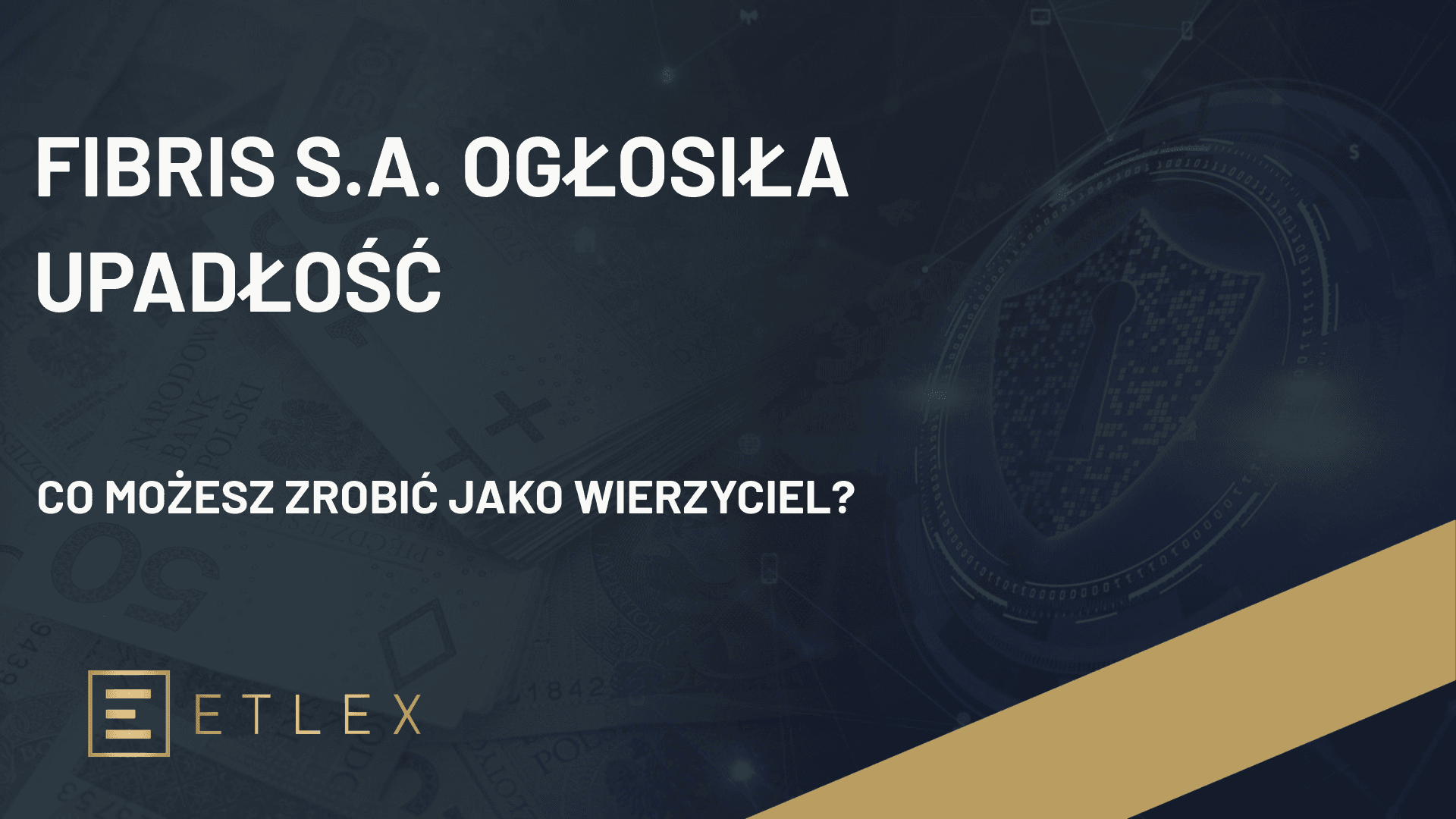 FIBRIS S.A. ogłosiła upadłość